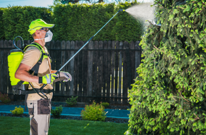 Mosquito control