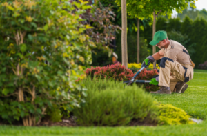 landscaper